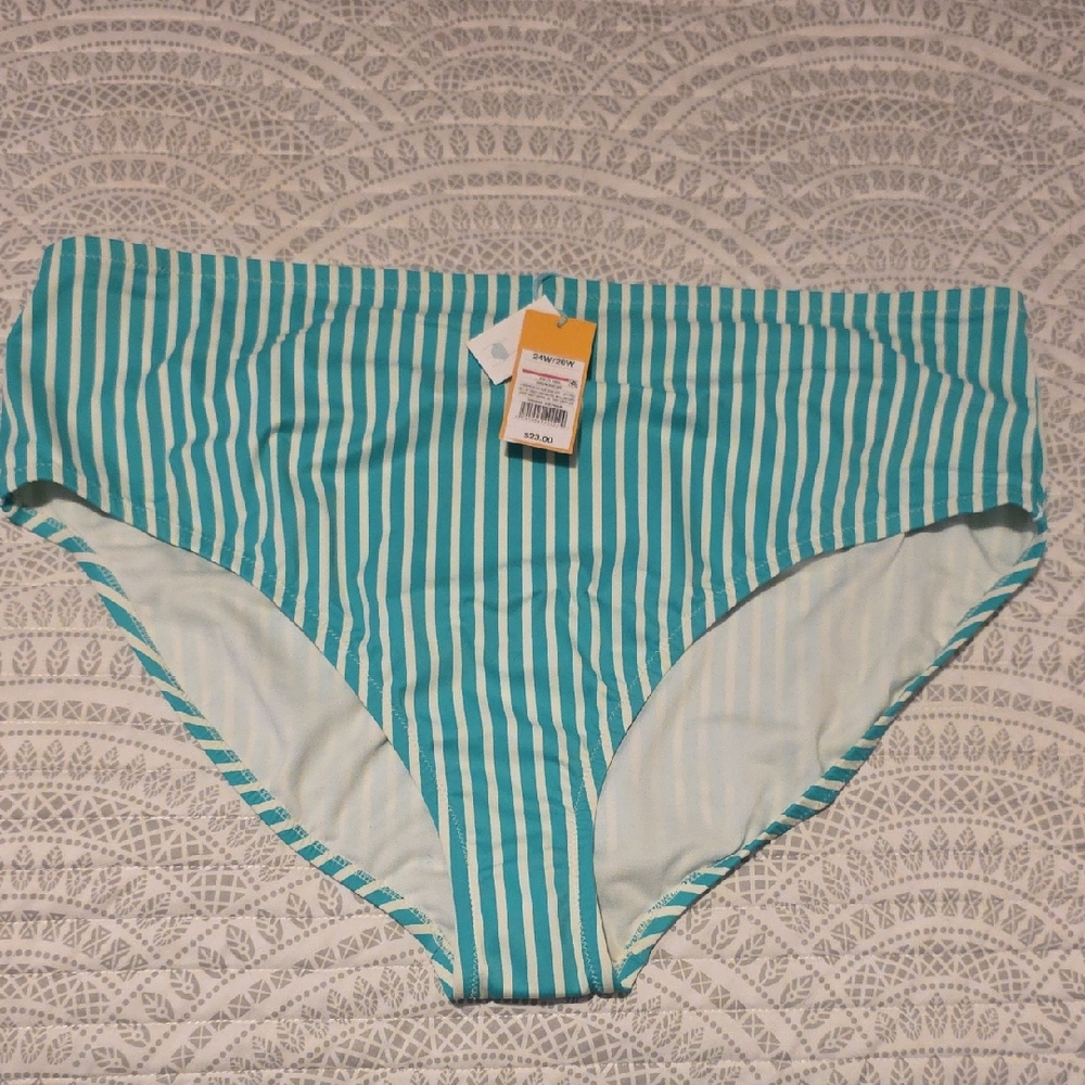 Striped Teal Bikini Bottom
